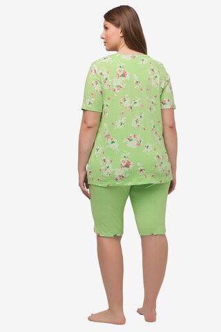 Ulla Popken Short Pajama Set in Green