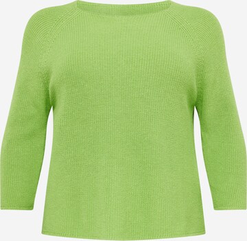 Pullover 'DAVY' di Persona by Marina Rinaldi in verde: frontale