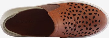 D.MoRo Shoes Sneakers in Brown