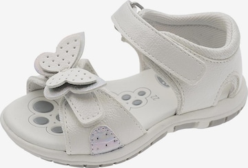 CHICCO Sandalen 'Fantasy' in Wit: voorkant