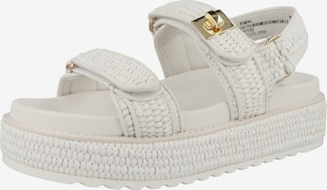 STEVE MADDEN Sandals 'Bigmona' in White: front