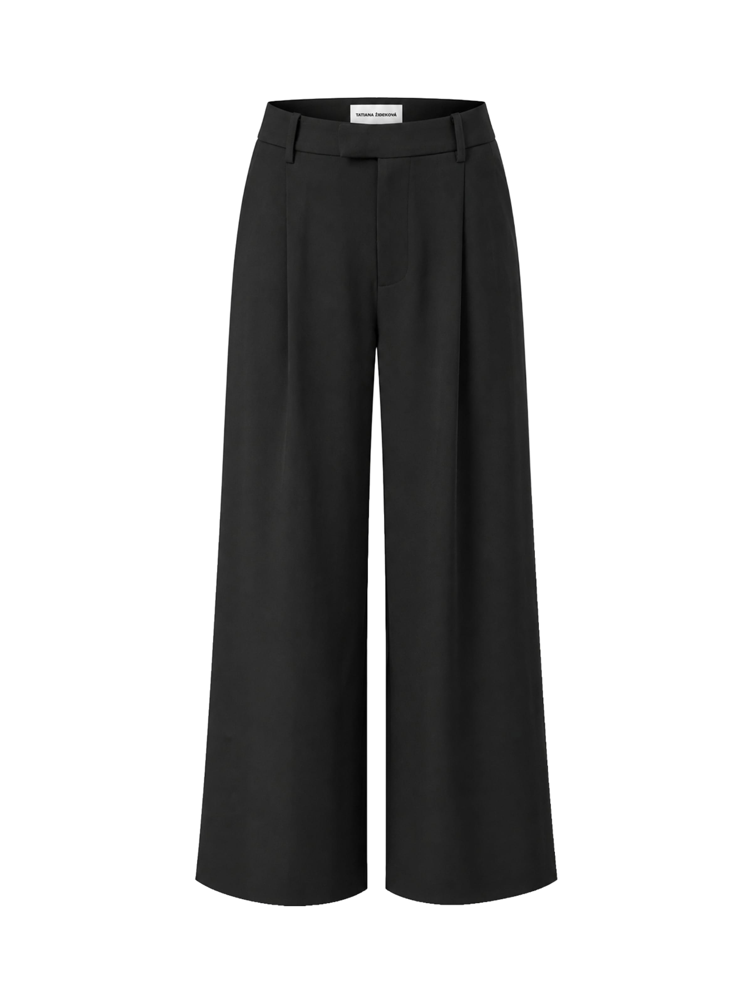Tatiana Zidekova Baggy Pleat-Front Pants in Black: front