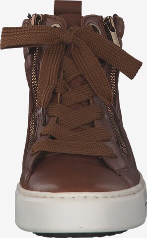 ARA High-Top Sneakers 'Portyard 47494' in Brown