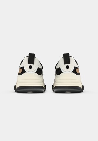Sneaker bassa 'POSSESSION' di STEVE MADDEN in colori misti