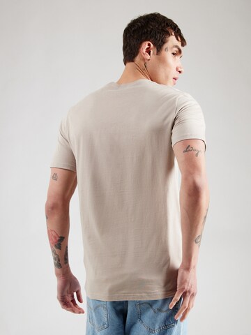 HOLLISTER T-shirt i brun