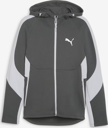 PUMA Athletic Zip-Up Hoodie 'EVOSTRIPE' in Grey: front