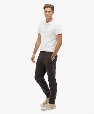 Effilé Pantalon 'Essential' Superdry en marron