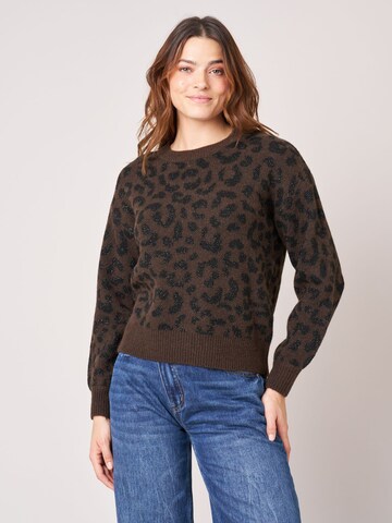 Deeluxe Pullover‌‌‌‌ in Braun