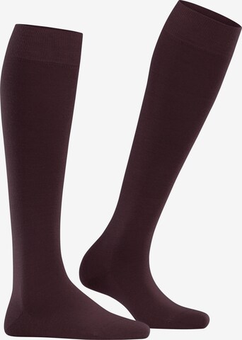 FALKE Knee High Socks 'Softmerino' in Red: front