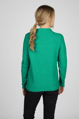 Rabe Sweater in Green