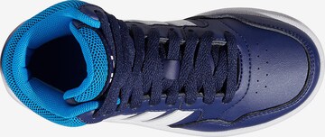 ADIDAS ORIGINALS Sneakers 'Hoops 3.0' in Blue