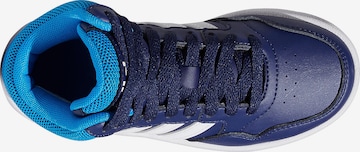 ADIDAS ORIGINALS Athletic Shoes 'Hoops 3.0' in Blue