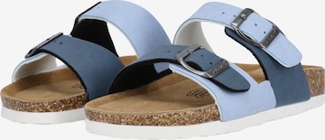 Cruz Mules 'Poapi' in Blue