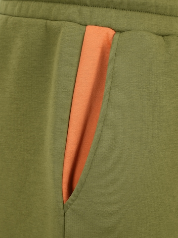 Smiles Normalny krój Spodnie 'Ediz' w kolorze zielony
