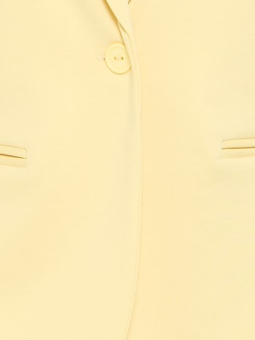 ICHISako 'IHKate' - žuta boja