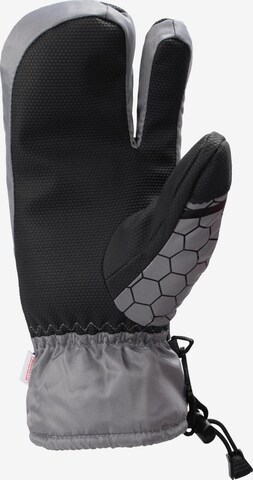 Gants de sport ' Apex ' normani en gris