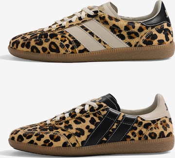 Caval - Sapato com atacadores ' PULSE ' em castanho: frente