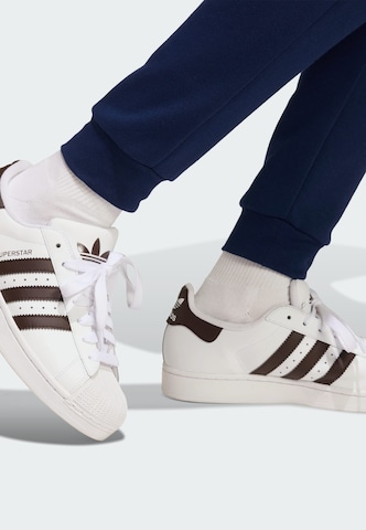 ADIDAS PERFORMANCE Tapered Sports trousers 'Entrada26' in Blue