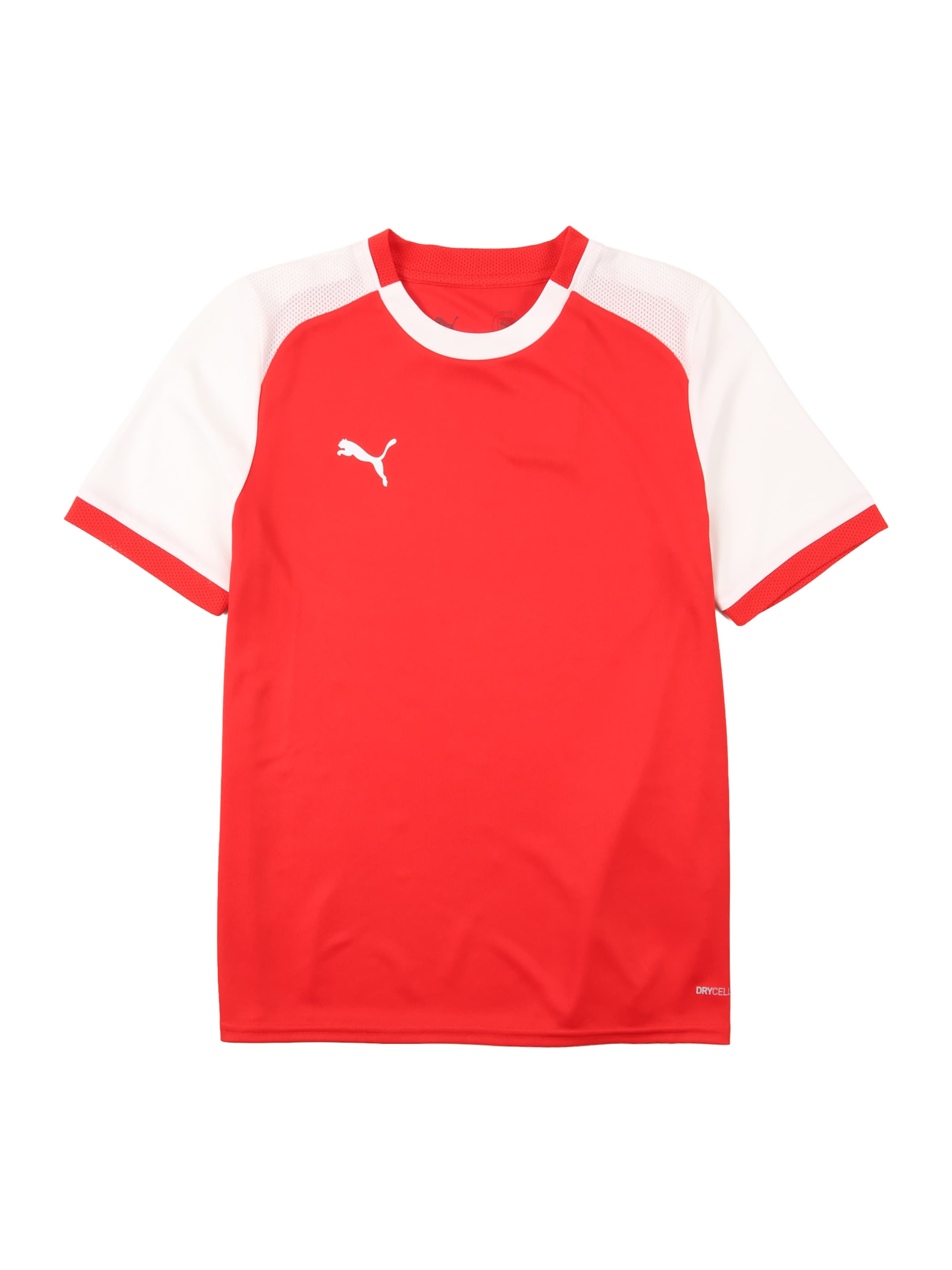 PUMA Функционална тениска 'TeamLIGA26 Matchday' в червено: отпред