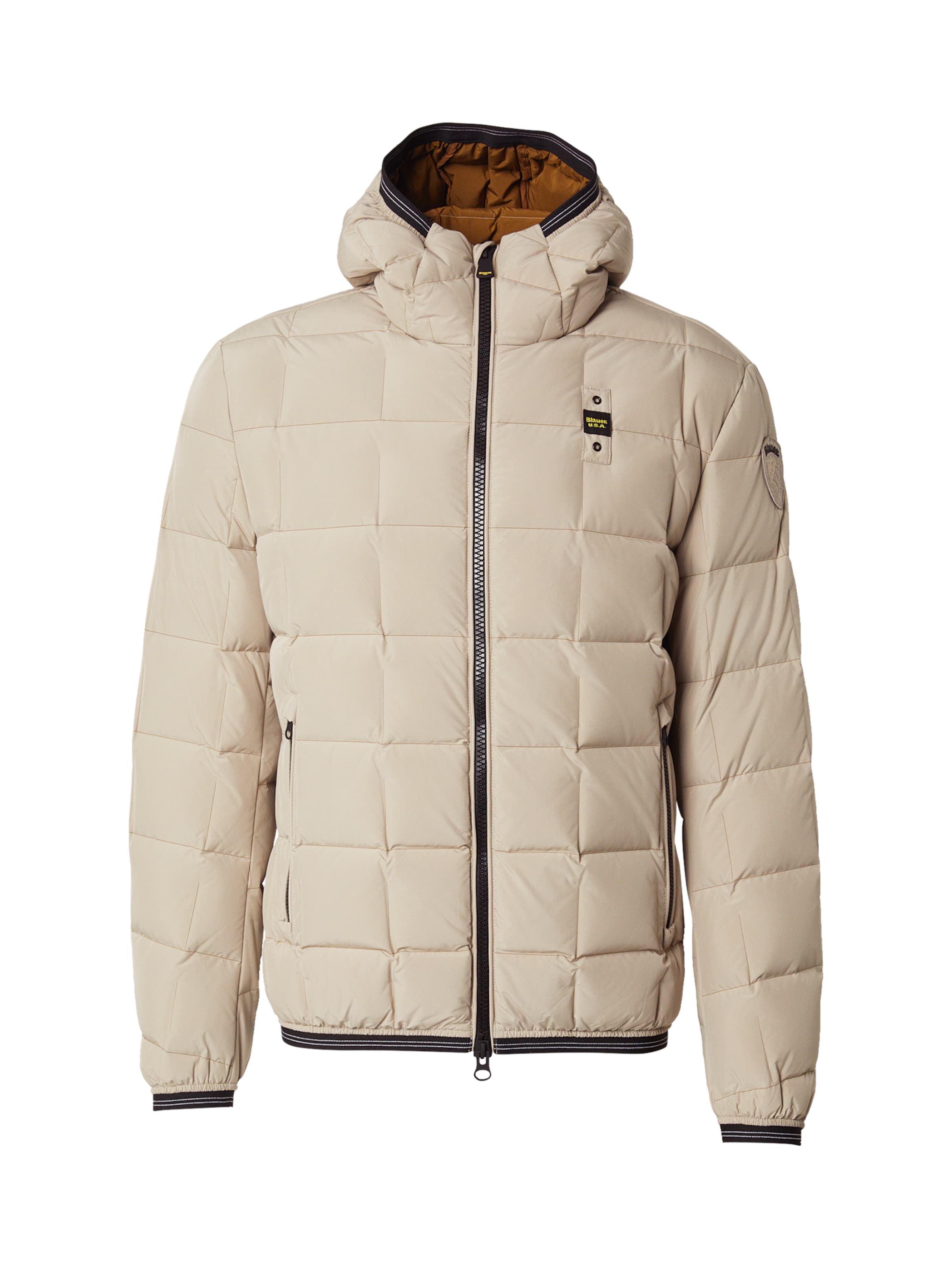 Blauer.USA Зимняя куртка 'DALIN' в Бежевый: спереди
