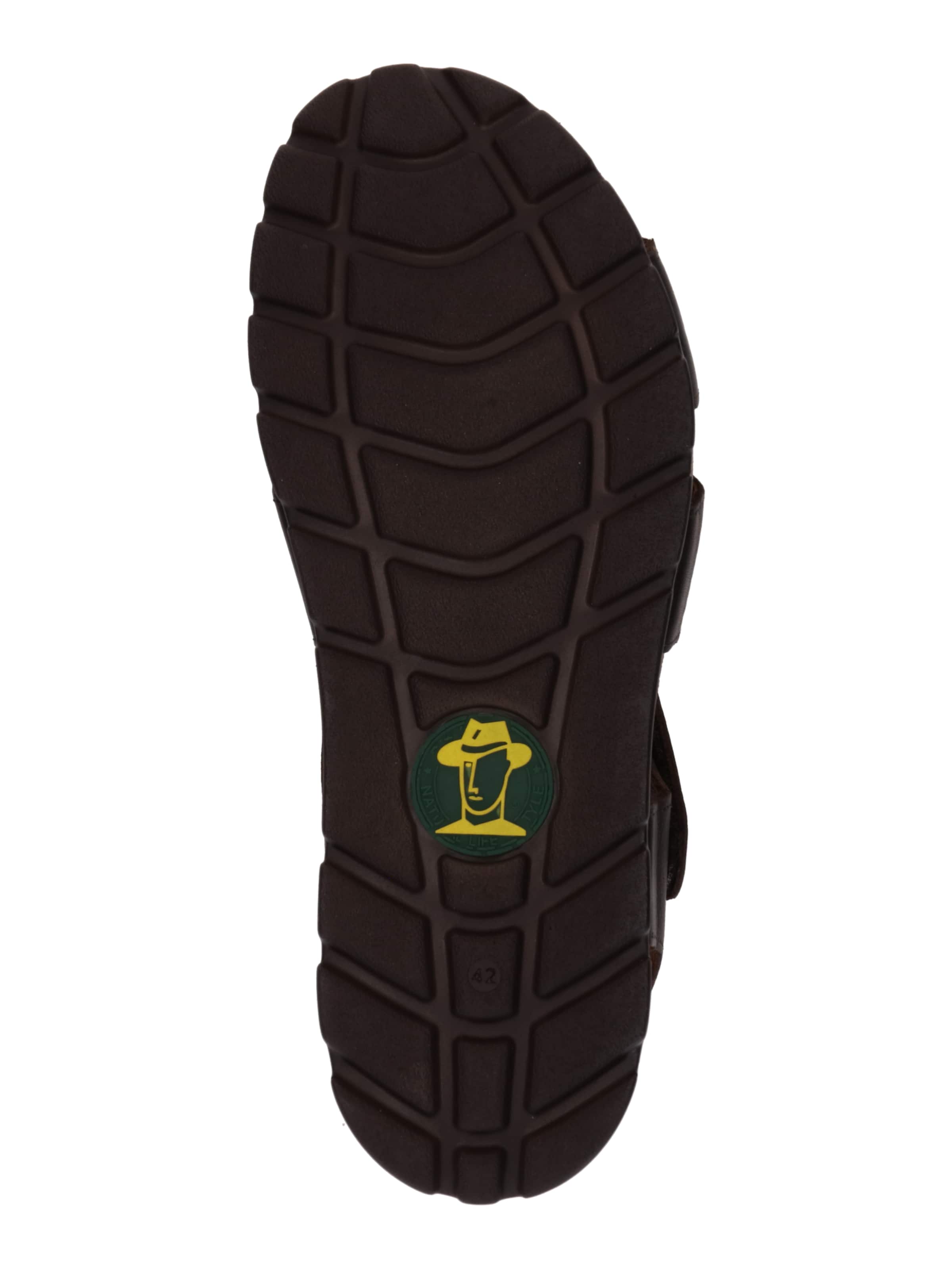 PANAMA JACK Sandal 'Stanley C2' i brun