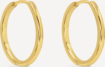 ARS-ARGENTI Ohrringe 'NAUGHTY HOOPS' in Gold: Vorderseite