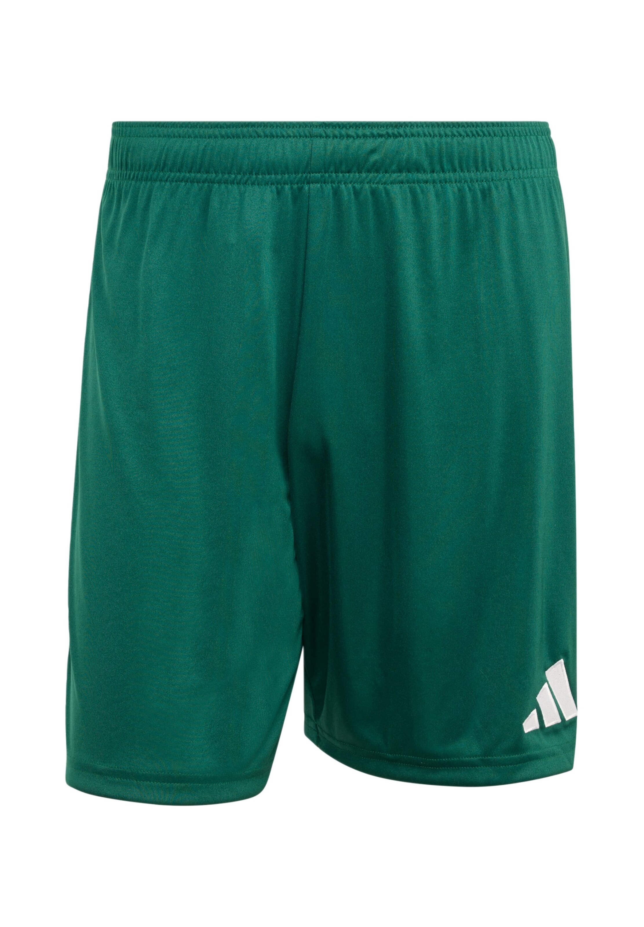 regular Pantaloni sportivi 'ENT26' di ADIDAS PERFORMANCE in verde