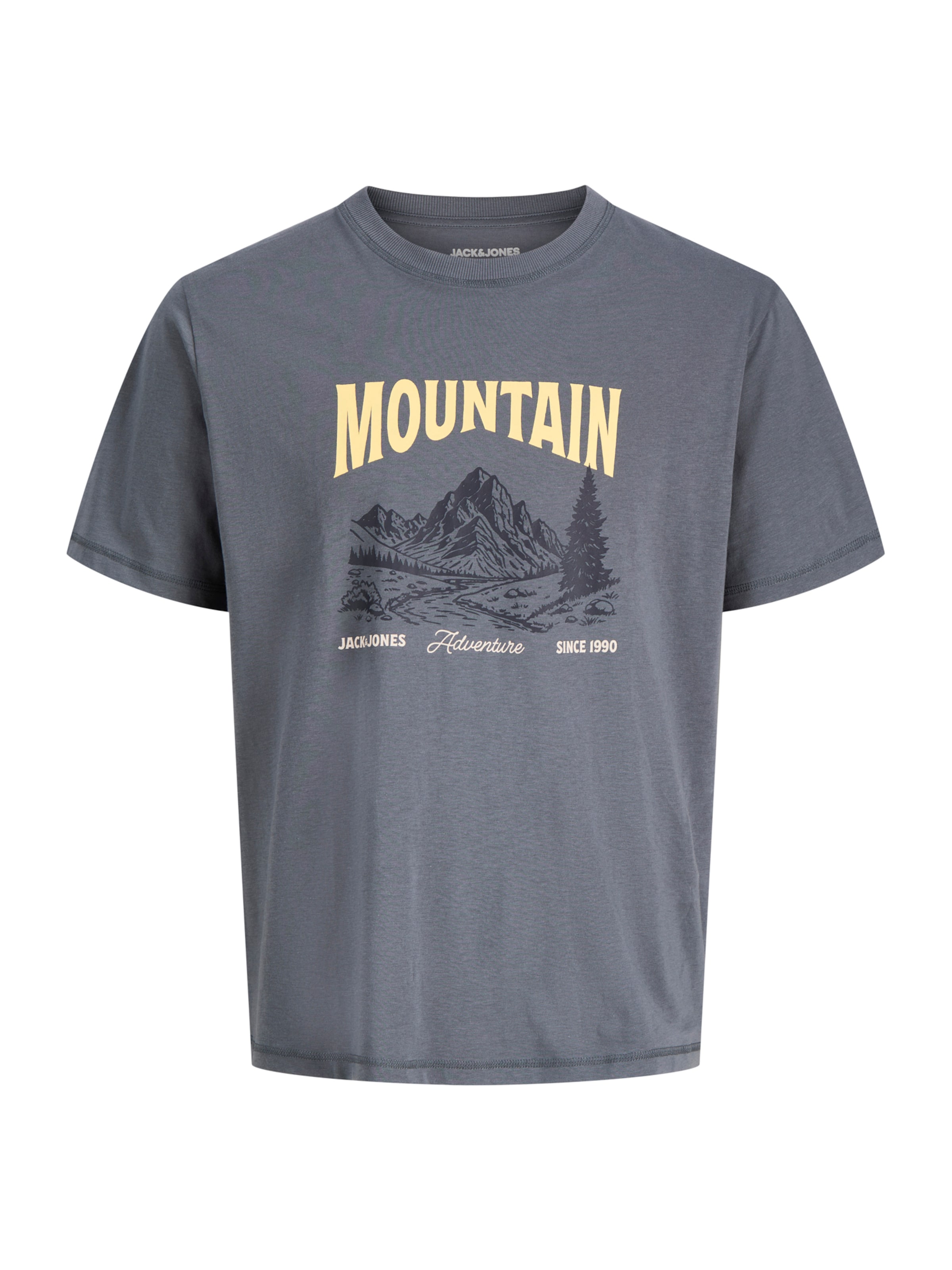 JACK & JONES T-Shirt 'JJWALKER' in Grau: Vorderseite
