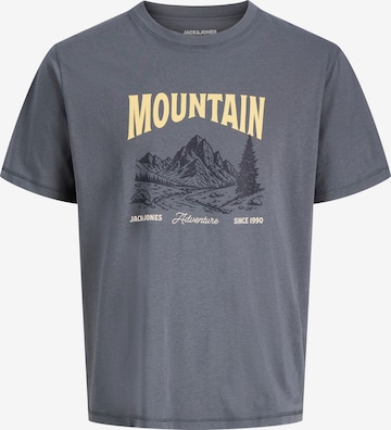 JACK & JONES T-Shirt 'JJWALKER' in Grau: Vorderseite