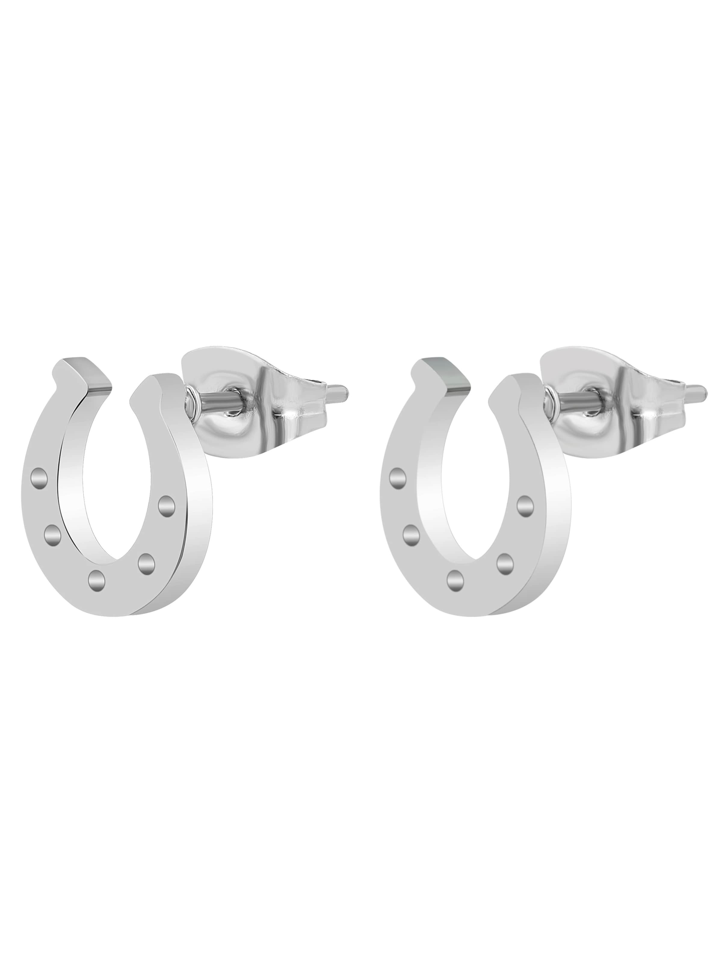 Akzent Earrings 'Feli, langlebig' in Silver: front