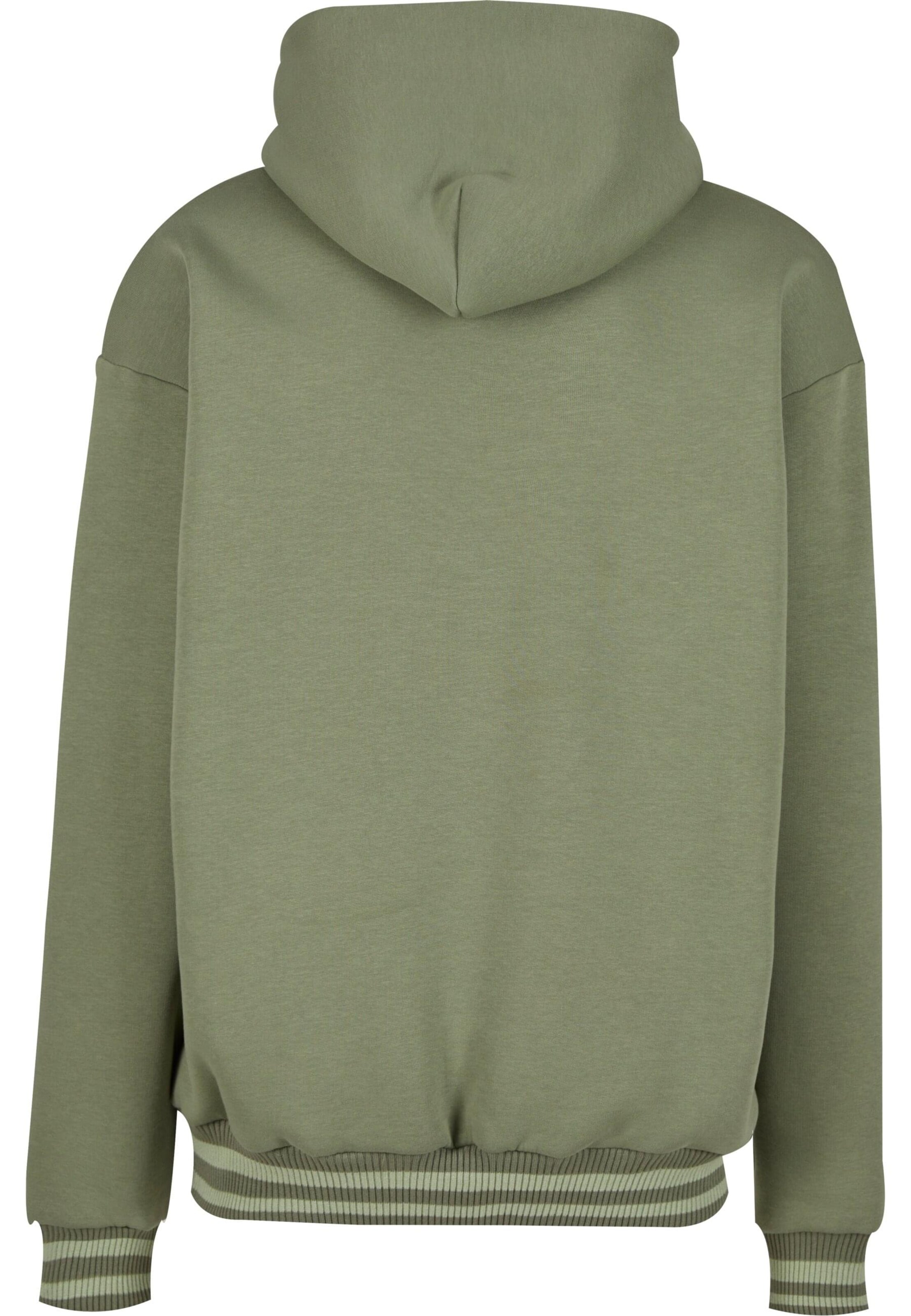 Karl Kani Sweatshirt 'Ellipse' in Groen