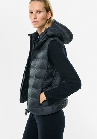 Gilet 'Mount' ECOALF en noir