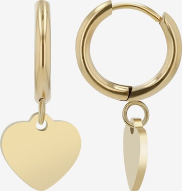 Akzent Earrings 'Tanith, langlebig' in Gold: front
