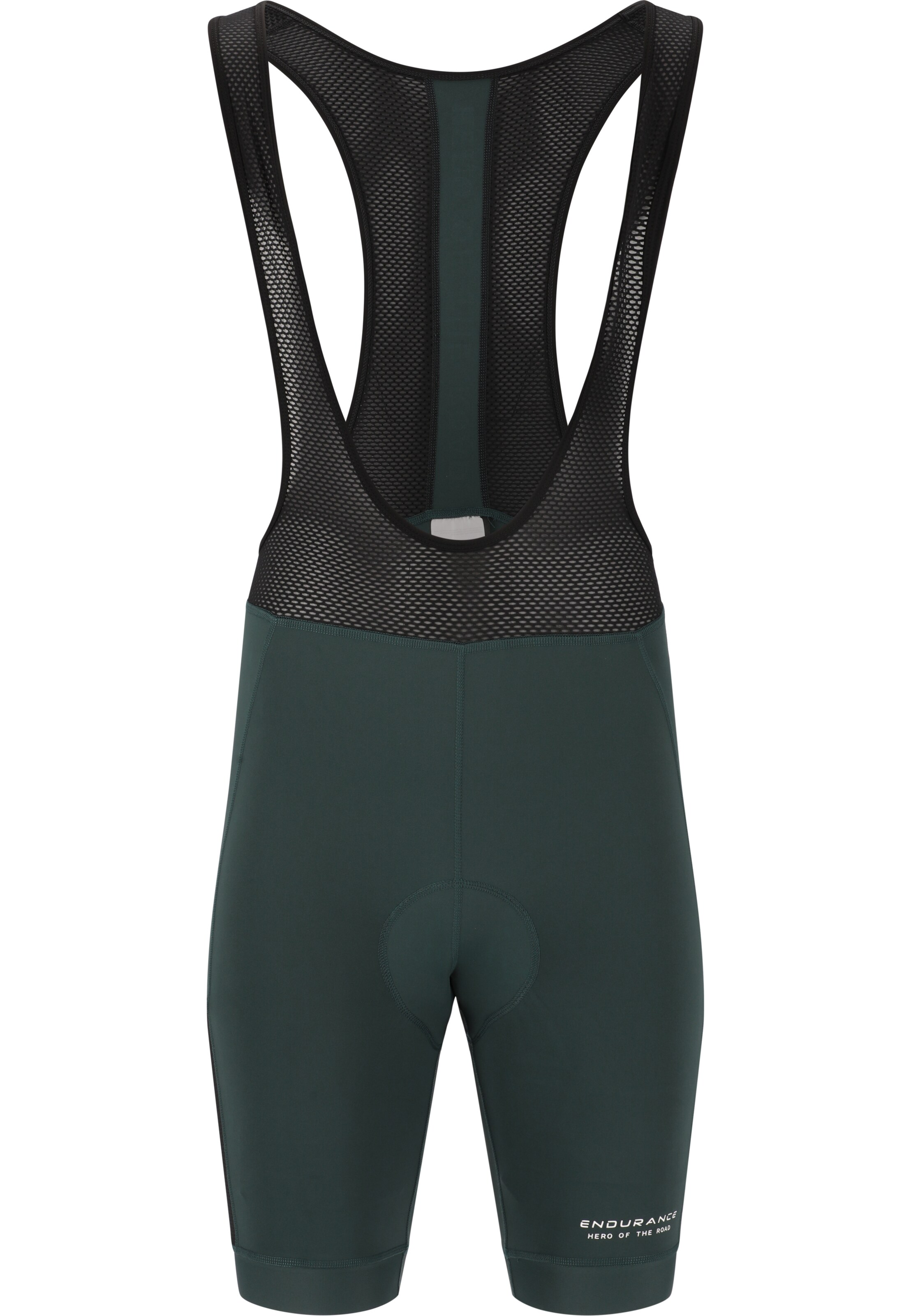 ENDURANCE Sporthose 'Brillant' in Grün: Vorderseite