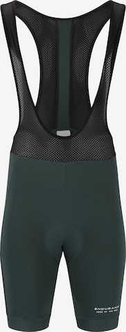 ENDURANCE Sports trousers 'Brillant' in Green: front