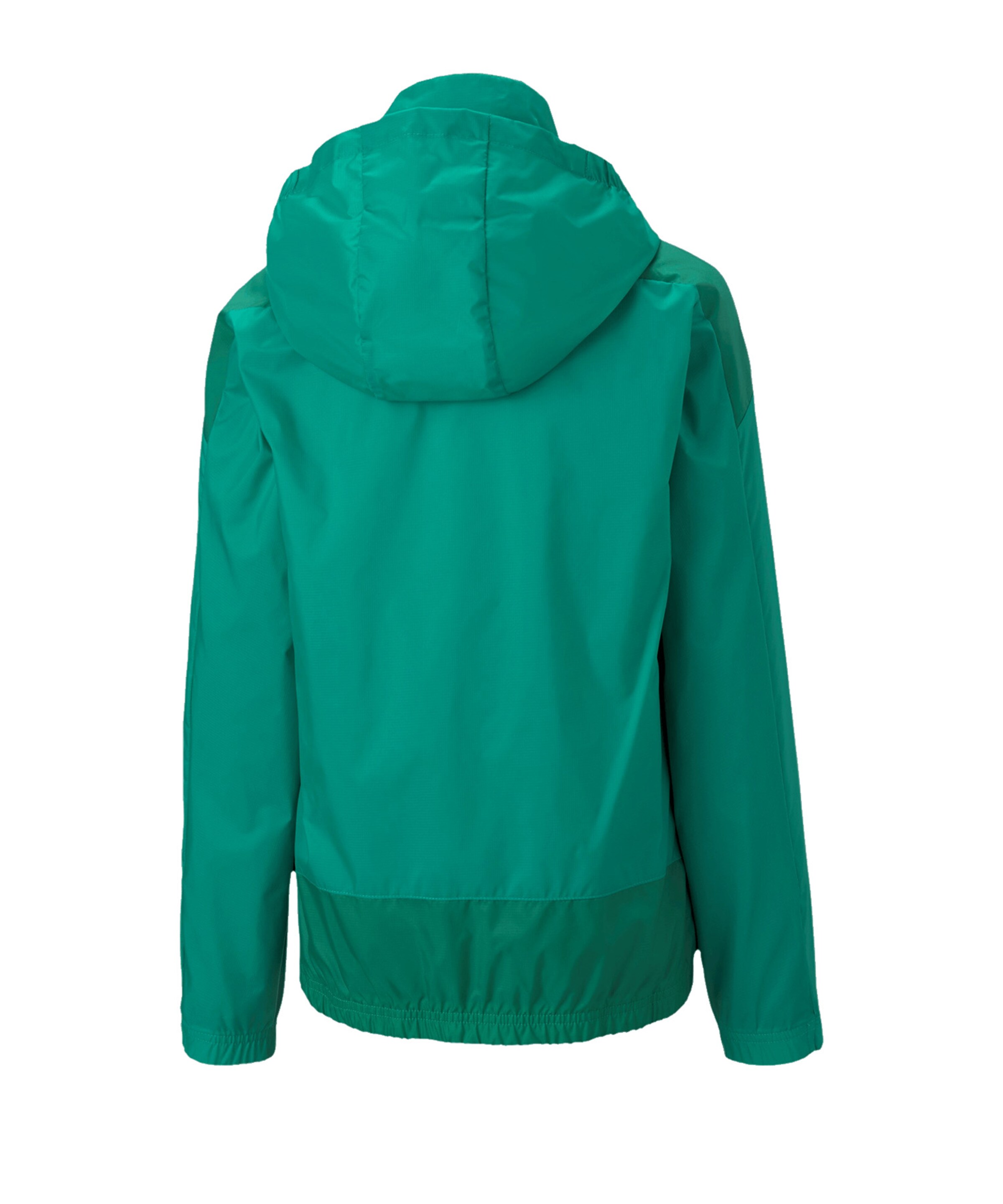 PUMA Sportjacke ' TeamGOAL' in Grün