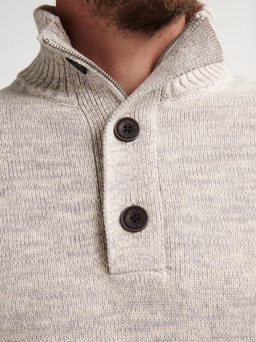 Pullover di Petrol Industries in beige