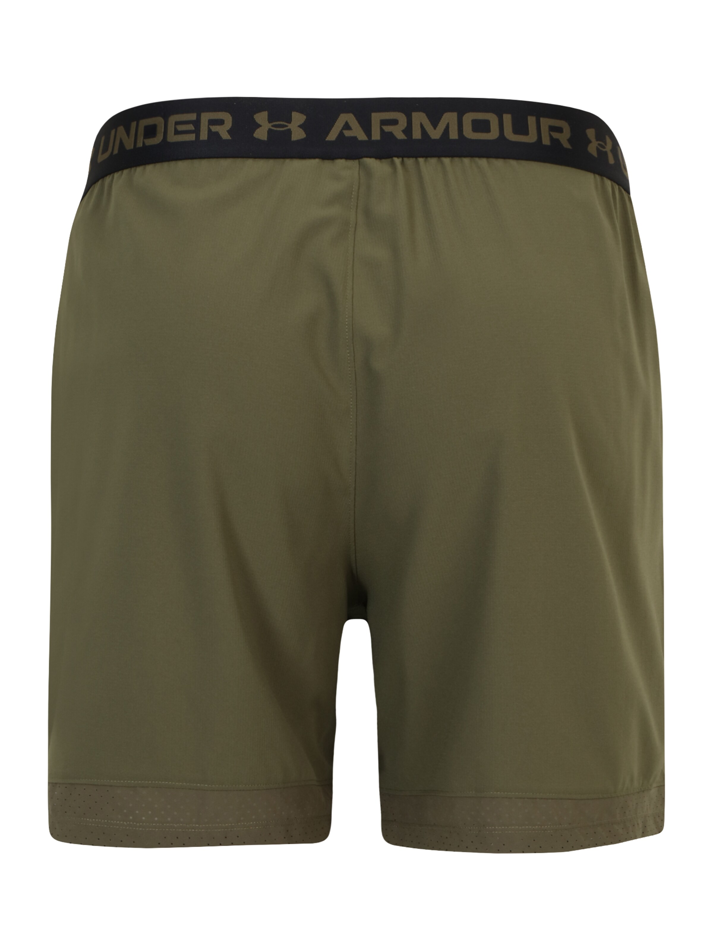 UNDER ARMOUR Regular Sportshorts 'Vanish' in Grün