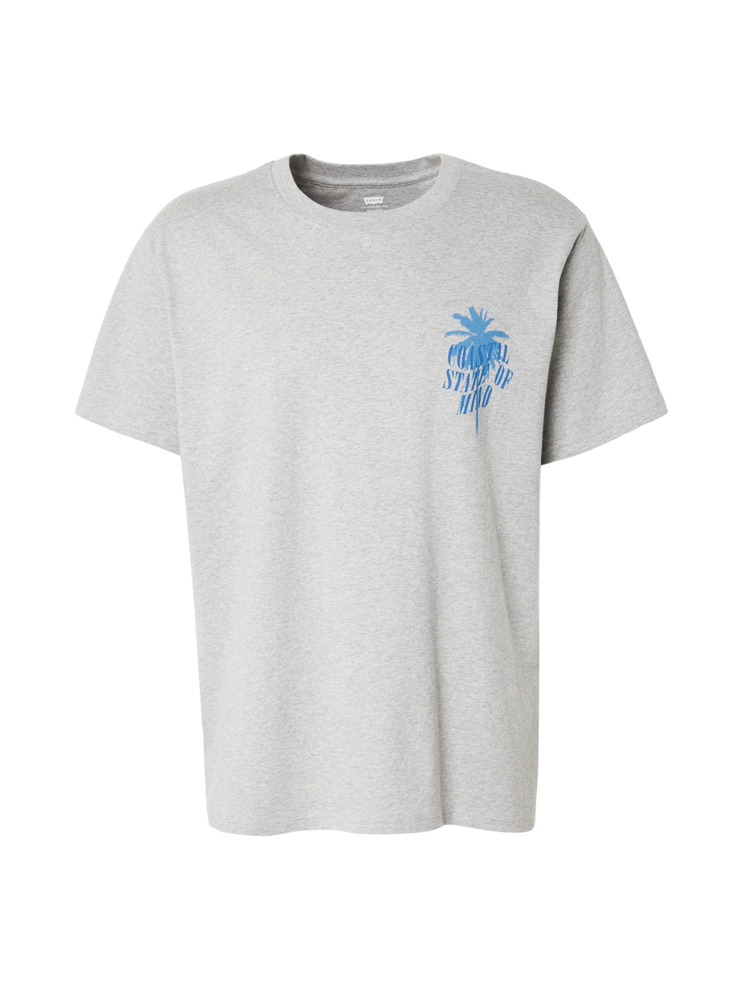 LEVI'S ® Shirt 'Relaxed Graphic Tee' in Grey: front