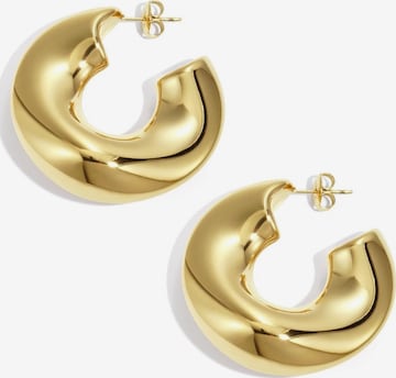 Cala Rose Earrings 'CHUNKY HOOP' in Gold: front