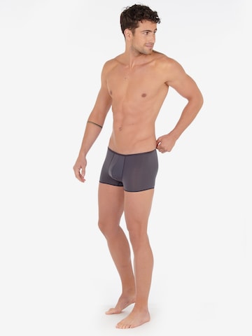 HOM Boxer shorts 'Plumes' in Grey