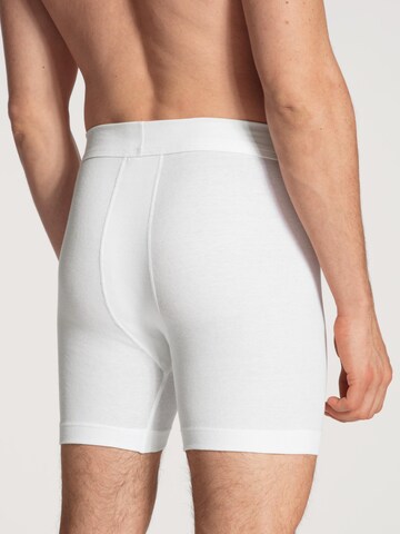 CALIDA Boxershorts 'Cotton 1:1' in Wit