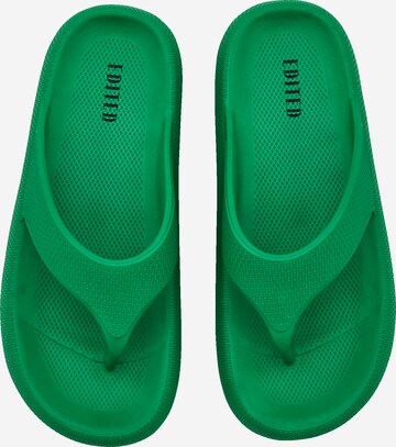 EDITED T-Bar Sandals 'Rasheed' in Green