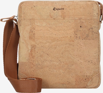 Esquire Crossbody Bag in Brown: front