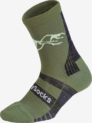 Chaussettes de sport 'Active Merino ' DillySocks en vert : devant