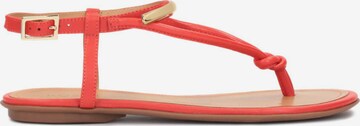 Kazar T-bar sandals in Red