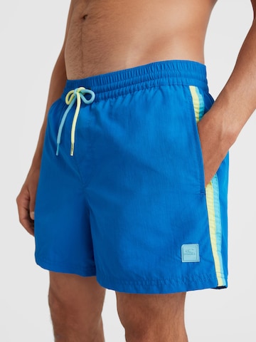 Shorts de bain 'Vert Retro' O'NEILL en bleu