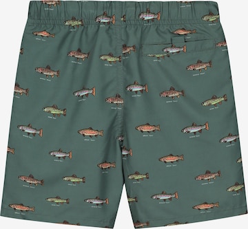 Shiwi Board Shorts in Green