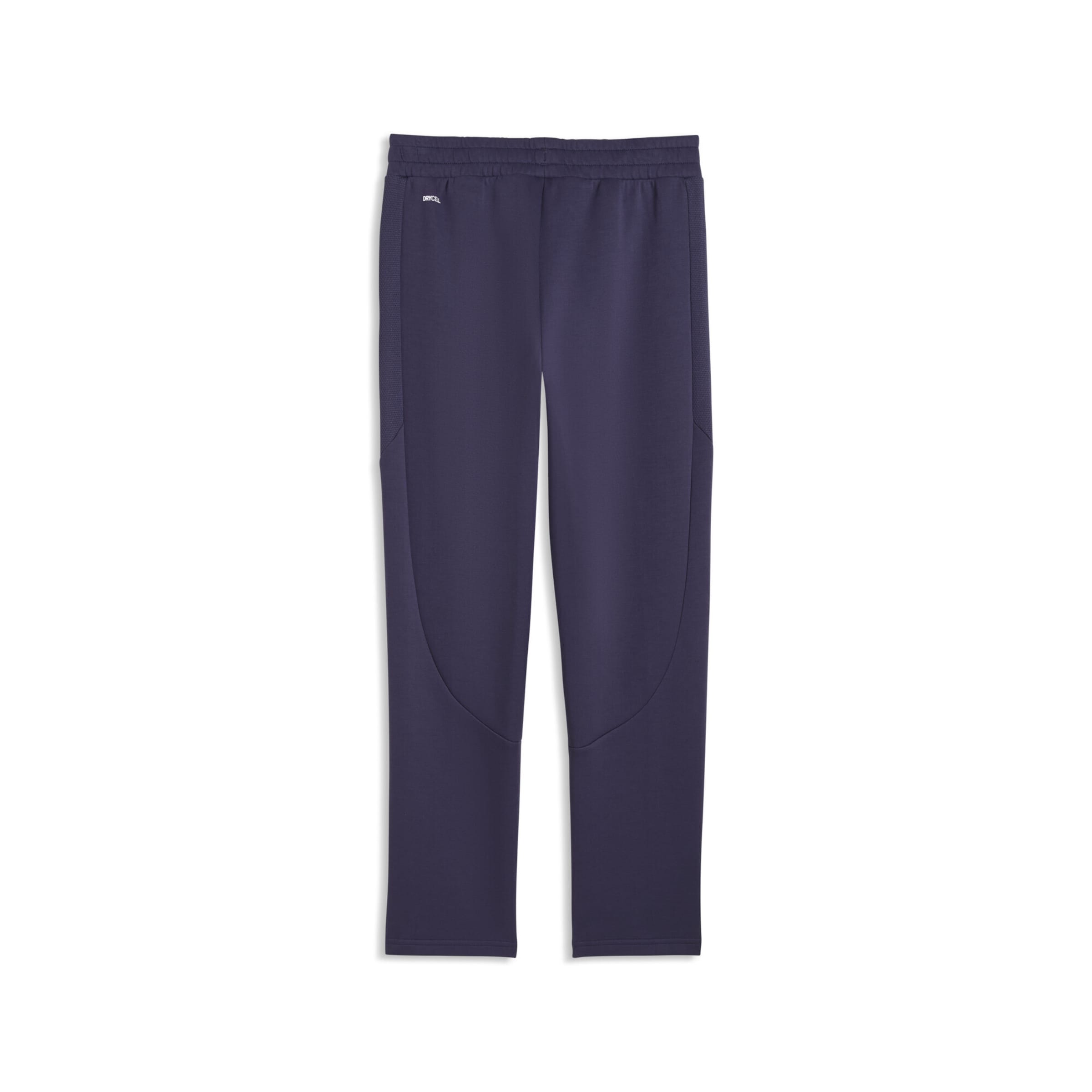 PUMA Regular Sports trousers 'Evostripe' in Purple