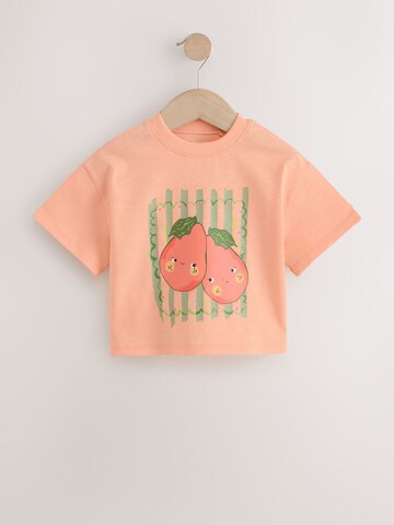 Next T-Shirt in Mischfarben